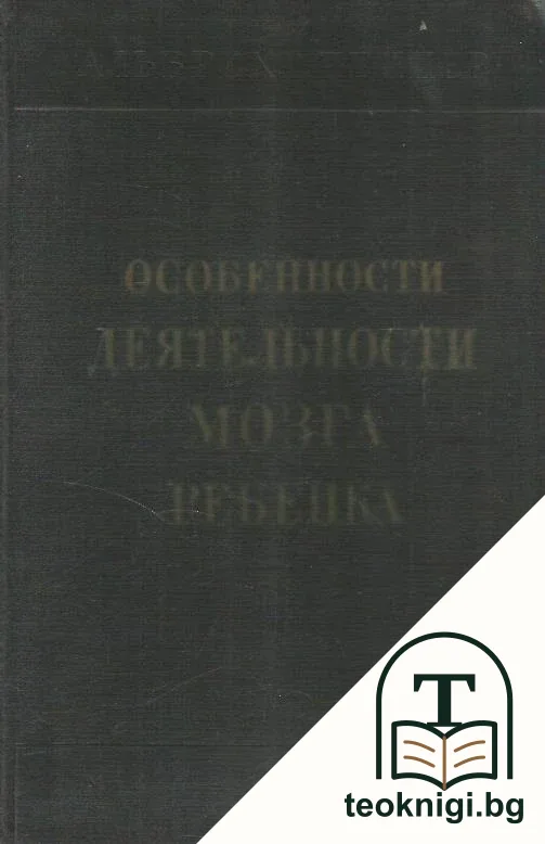 Особенности деятельности мозга ребенка — корица