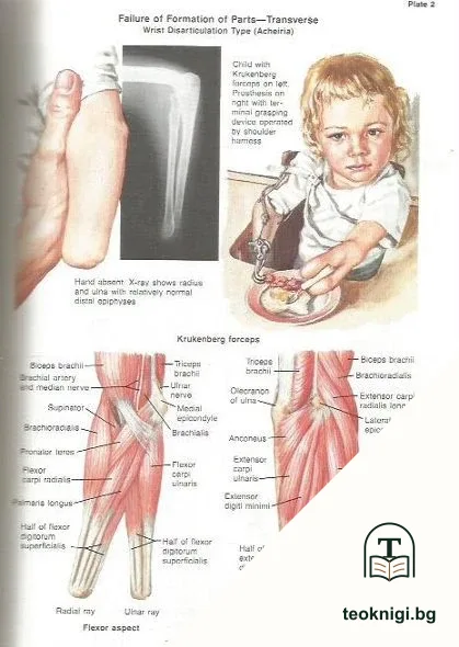 Clinical Symposia 1981 Annual — снимка 4