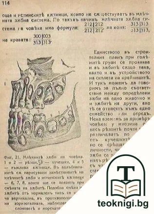 Еволюционната теория — снимка 2