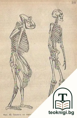 Еволюционната теория — снимка 3