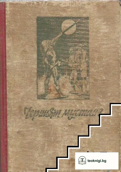 Черният мустанг — корица