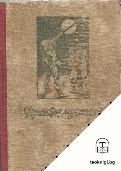 Черният мустанг — корица
