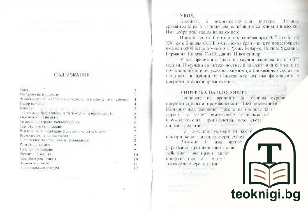 Арония — снимка 2