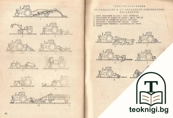 Промишлено отглеждане на етеричномаслените култури — снимка 3