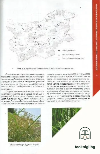 Картиране и оценка на екосистемните услуги във вътрешни влажни зони в България — снимка 3