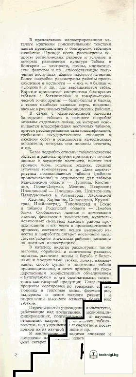 Болгарские табаки — снимка 2