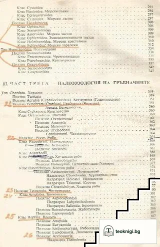 Палеонтология — снимка 4