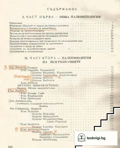 Палеонтология — снимка 2