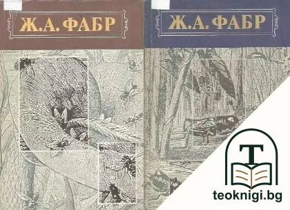 Инстинкт и нравы насекомых. В двух томах. Том 1-2 — корица