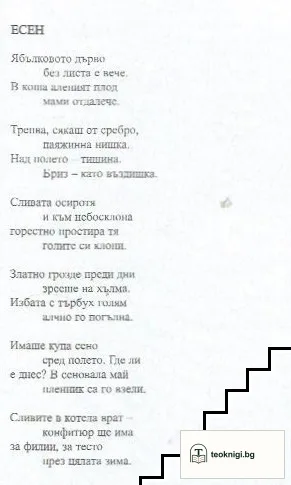 Мяучи пес зелен — снимка 3