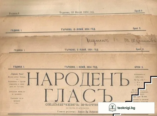 Народенъ гласъ. Бр. 3-13 / 1894 — снимка 2