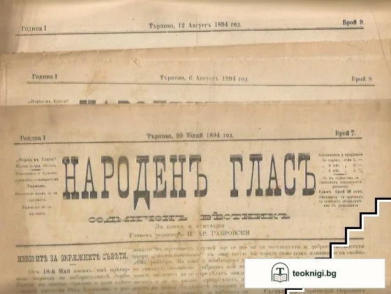 Народенъ гласъ. Бр. 3-13 / 1894 — снимка 3