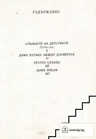 Подробности от пейзажа — снимка 2