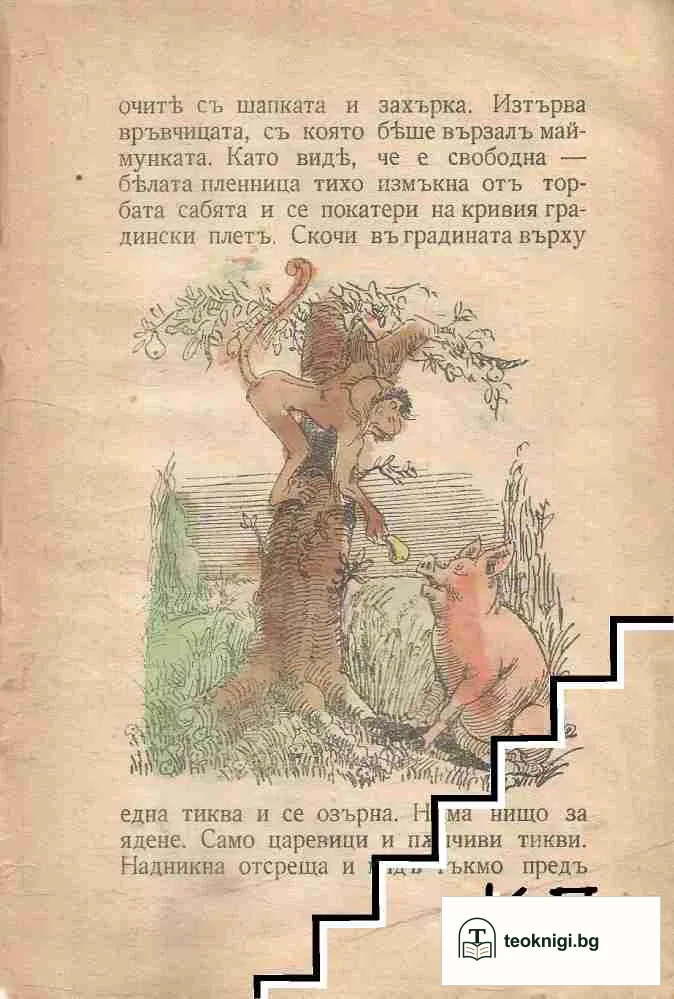 Ането — снимка 2