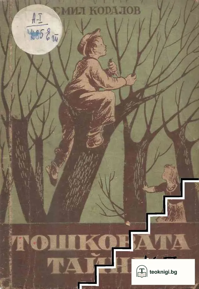 Тошковата тайна — корица