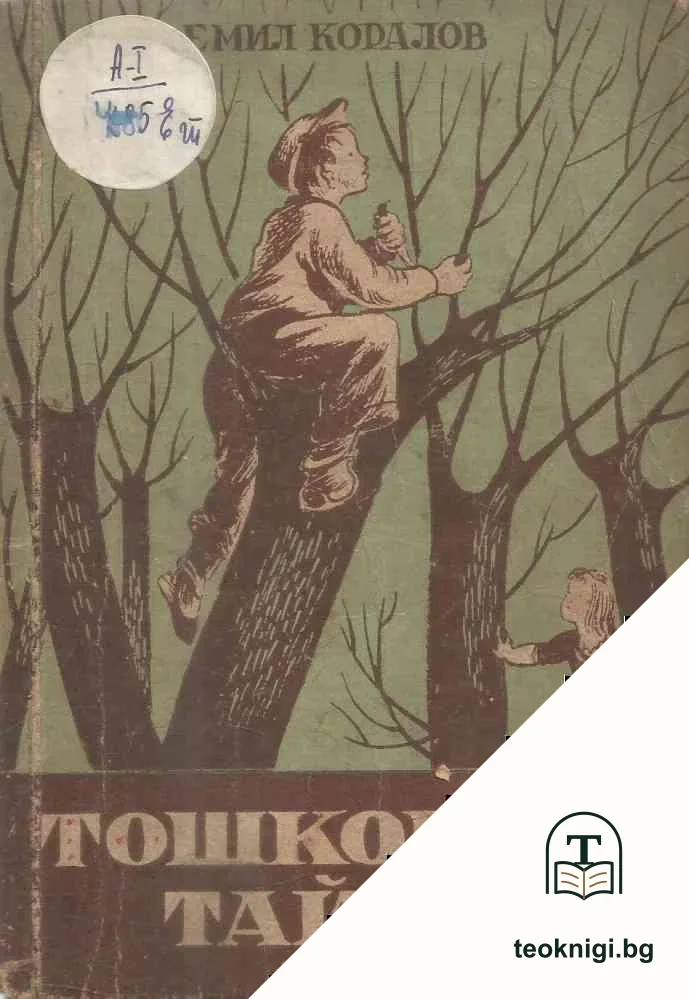 Тошковата тайна — корица