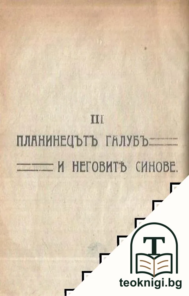 Малкиятъ Тобра (Нещастието на едно индийче) / Коньтъ на единъ бедоинъ / Планинецътъ Галубъ и неговите синове — снимка 4