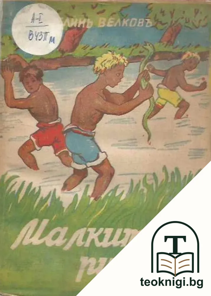 Малките рибари — корица