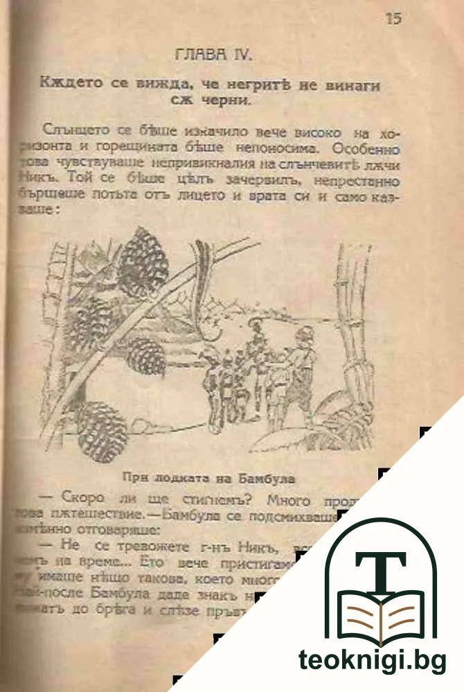 Пумъ, никъ и фоксъ — снимка 3