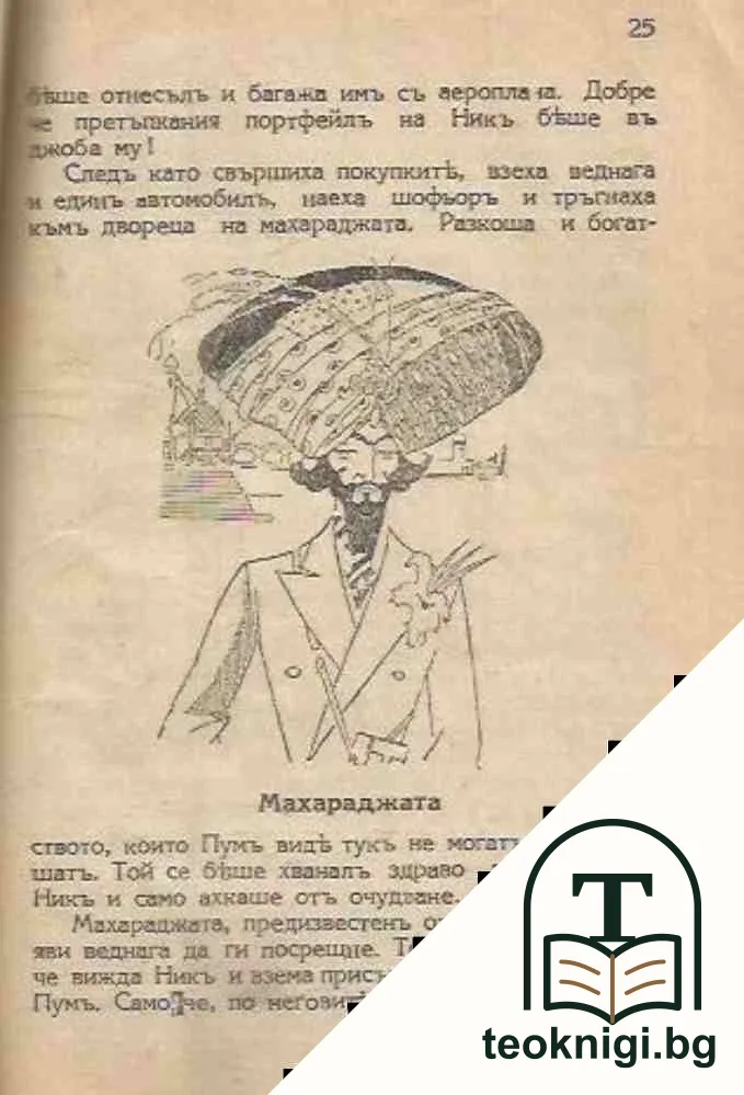 Пумъ, никъ и фоксъ — снимка 4