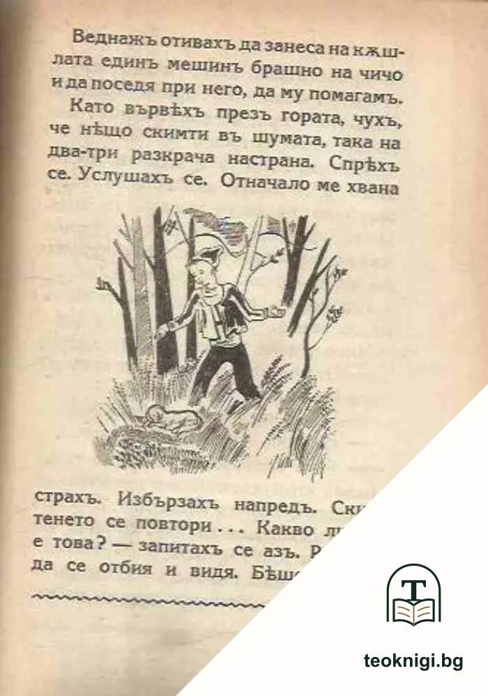 Злато — снимка 4