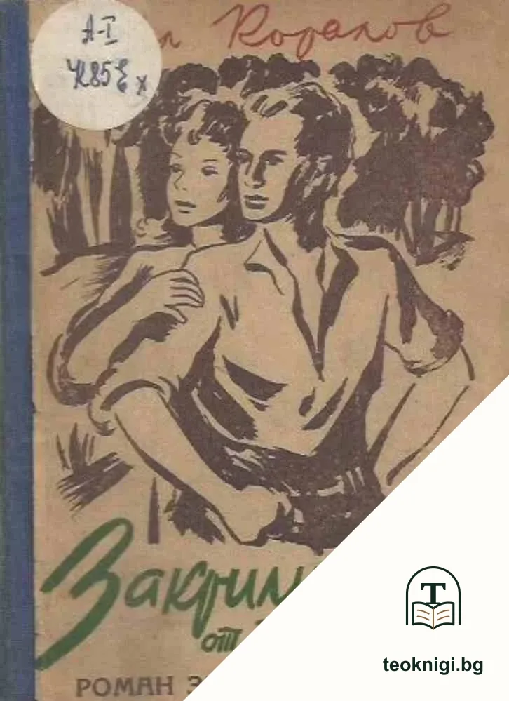 Закрилникът от планината — корица