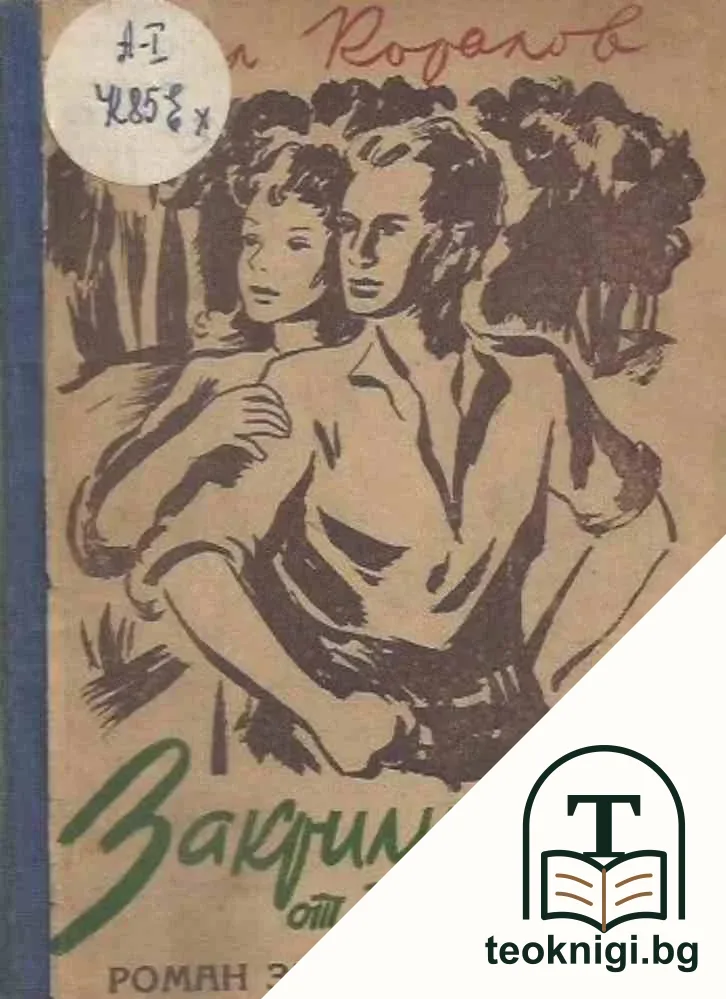 Закрилникът от планината — корица