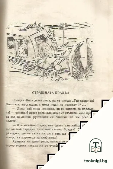 Щурчово конче — снимка 4