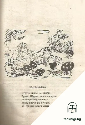 Щурчово конче — снимка 3