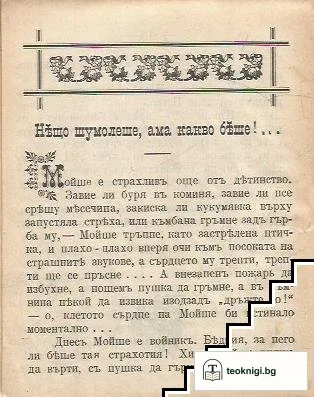 Пази боже слепо да проглед / Нещо шумолеше, ама какво беше — снимка 4