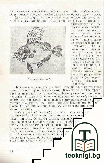 Забавна ихтиология — снимка 2
