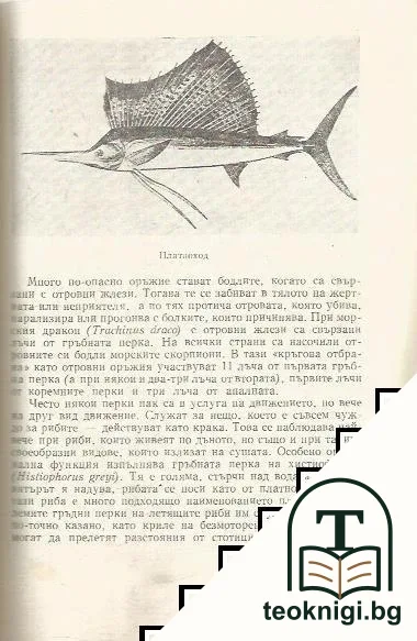 Забавна ихтиология — снимка 4