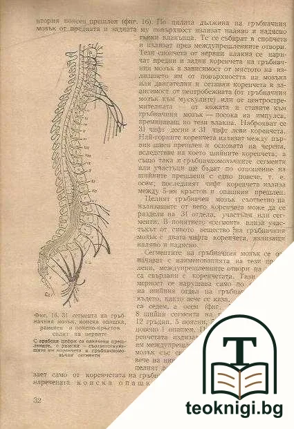 Нервни и психични болести — снимка 2