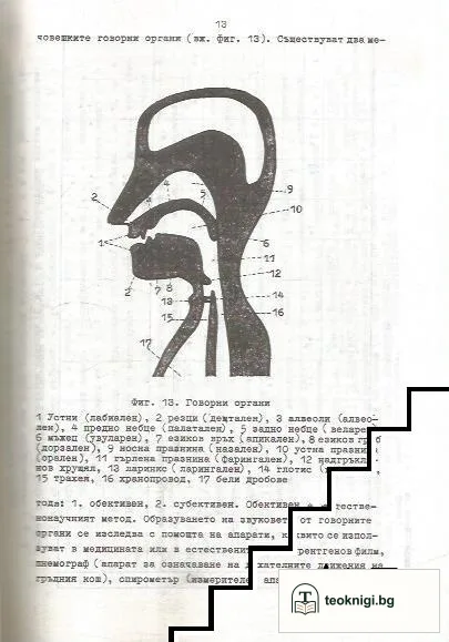 Увод в езикознанието с оглед и на българския език — снимка 2