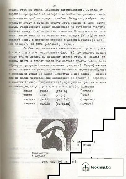 Увод в езикознанието с оглед и на българския език — снимка 3