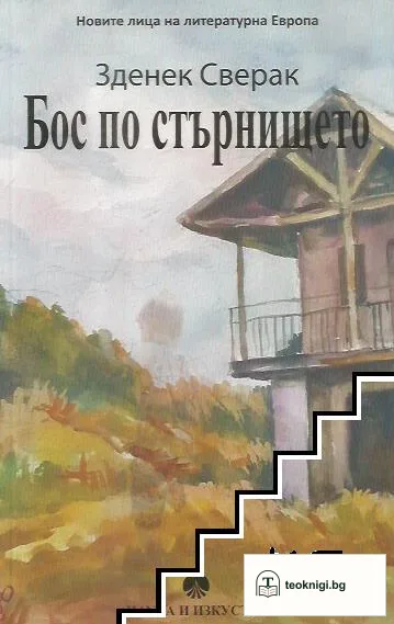 Бос по стърнището — корица