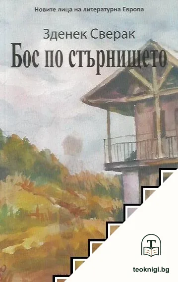 Бос по стърнището — корица