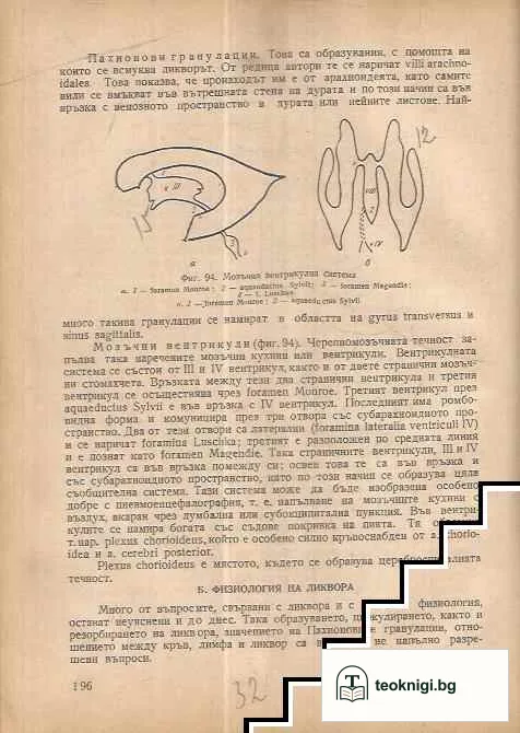 Нервни болести — снимка 3
