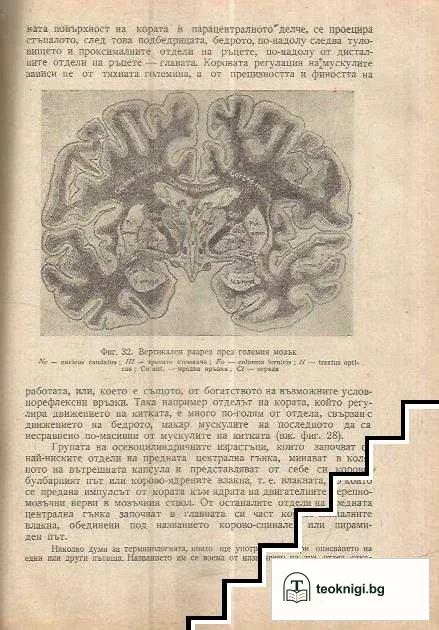 Нервни болести — снимка 4