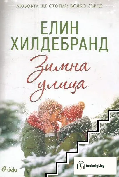 Зимна улица — корица