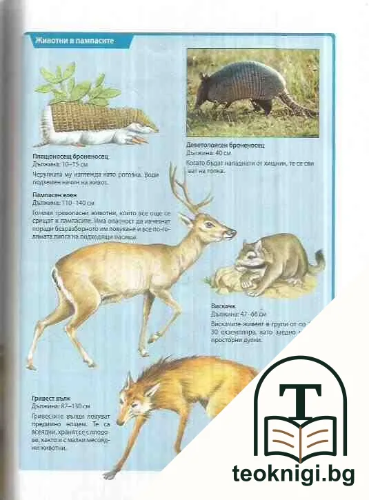 Защо? Бр. 2-3, 8-9 — снимка 3
