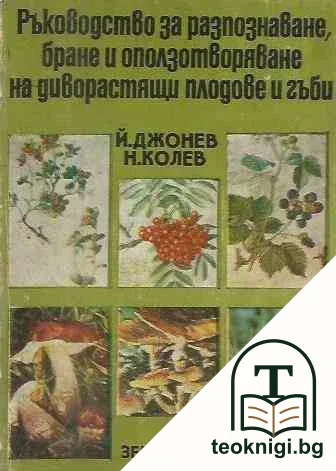 Ръководство за разпознаване, бране и оползотворяване на диворастящи плодове и гъби — корица
