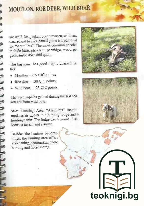 Hunting in Bulgaria — снимка 4