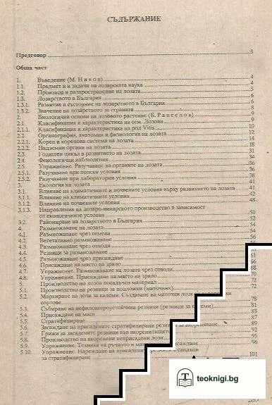 Лозарство — снимка 2