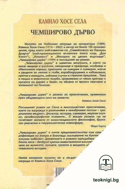 Чемширово дърво — снимка 2