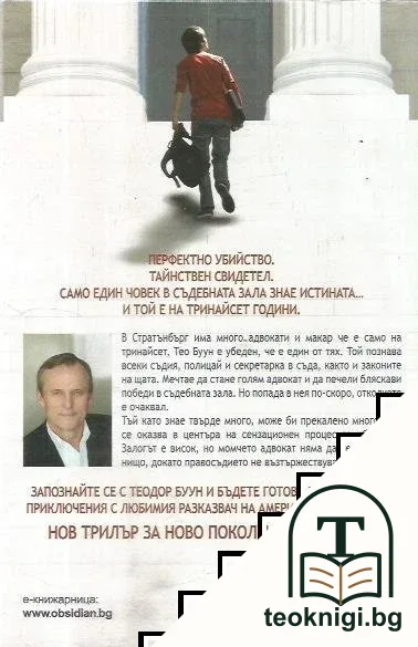 Теодор Буун. Момчето адвокат — снимка 2