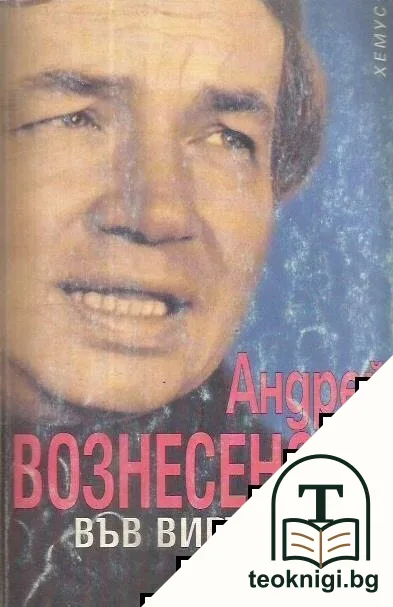 Във виртуалния вихър — корица
