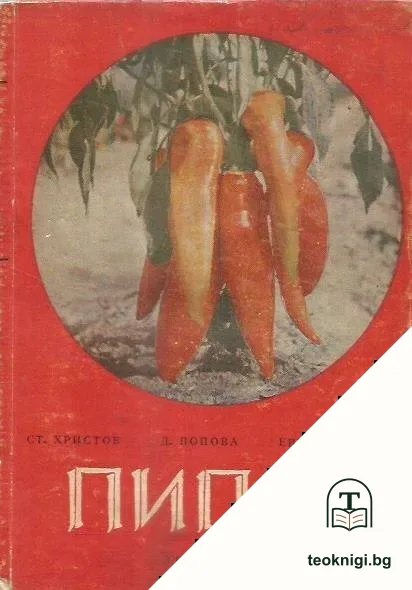 Пипер — корица