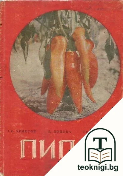 Пипер — корица