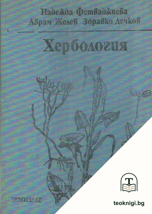 Хербология — корица